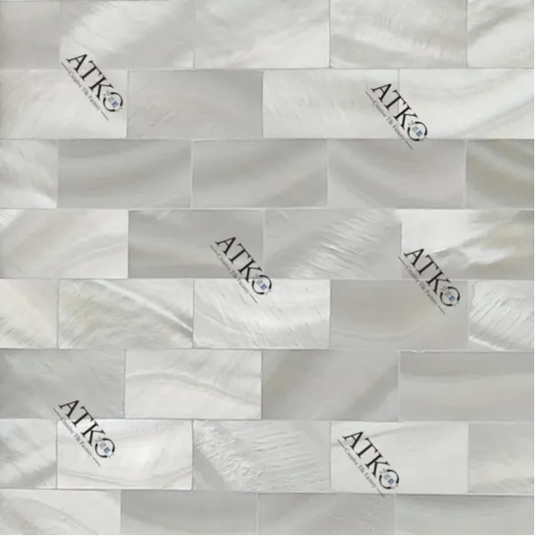 Shell Mosaic/ Mother of Pearl Mosaic