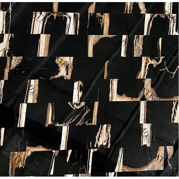 Semi-Precious Stones/Petrified Wood