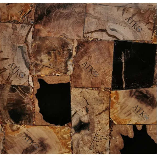 Semi-Precious Stones/Petrified Wood