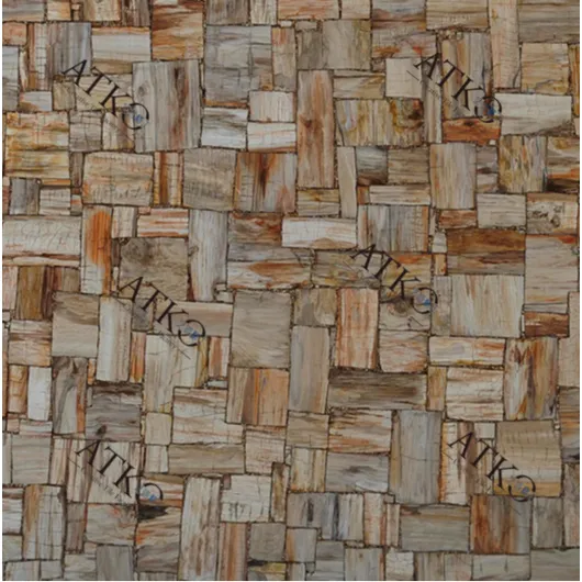 Semi-Precious Stones/Petrified Wood MS-106