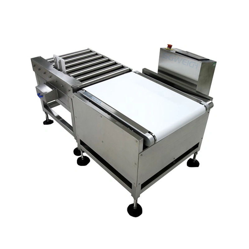 Online Belt Checkweigher For Heavy Products Boxes/Bags Industrial Weight Checker