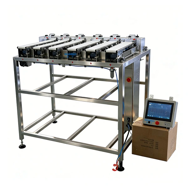 High Accuracy Multi-Lane Checkweigher for Food Automatic Conveyor Checkweigher