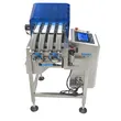 Strip Sachet Multi-Channel Checkweigher Inline Multi-Lane Weight Checking Machine