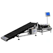 Multi-Conveyor Line Check Weigher for Stick Sachet Production Quality Control
