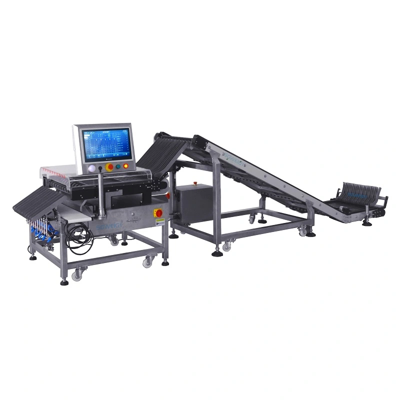 Multi-Conveyor Line Check Weigher for Stick Sachet Production Quality Control