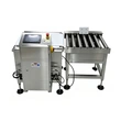 Automatic High-Capacity Checkweigher for Heavy Bags Roller Conveyor Weight Checker