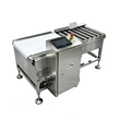 Automatic High-Capacity Checkweigher for Heavy Bags Roller Conveyor Weight Checker