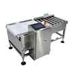 Automatic High-Capacity Checkweigher for Heavy Bags Roller Conveyor Weight Checker
