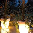illuminated plant pots | solar flower pot lights | Led pots