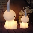 LED Miffy Rabbit Lamp Wholesale | Miffy Night Light Color changing