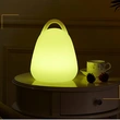 Rechargeable Protable Mood Light | Plastic RGB Mood Lights Factory 