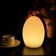 Battery Powered Night Light | Egg Table Lamp | led mood light