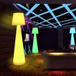 Multicolor Floor Lamp Factory | Led Colour Changing Floor Lamp
