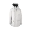 New Winter Jacket: Trendy Mid-Length Down Hooded Men’s Clothing