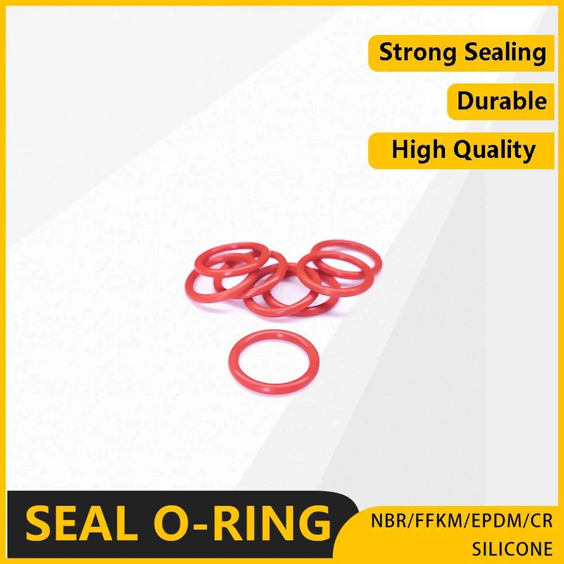 O-Ring
