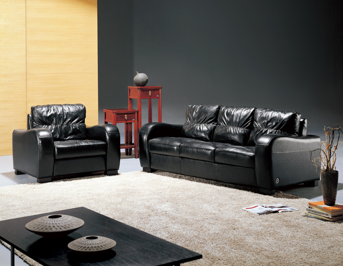 contemporary sofa   for home office hotel