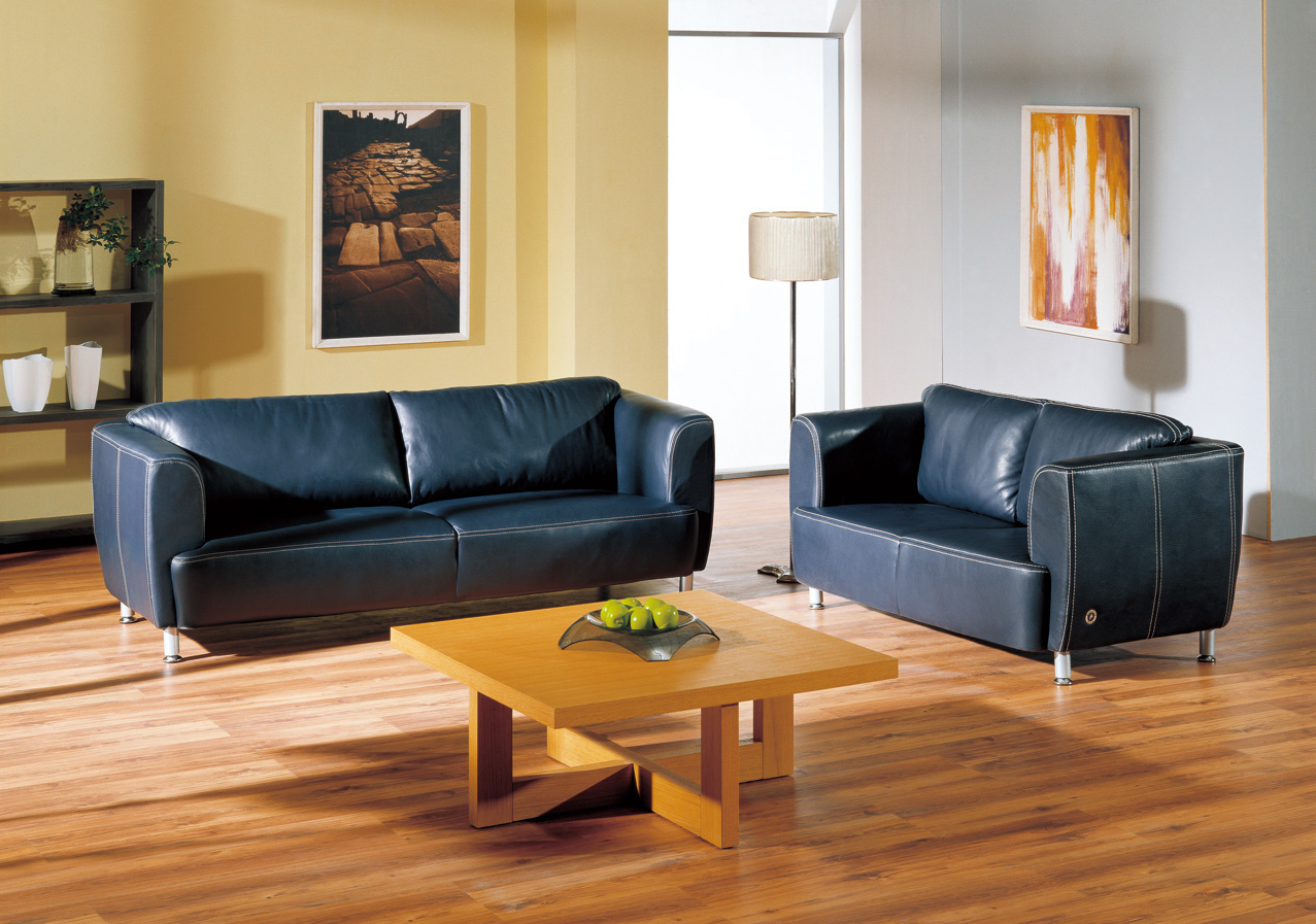 contemporary sofa   for home office hotel