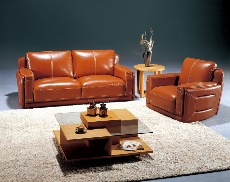 contemporary sofa   for home office hotel