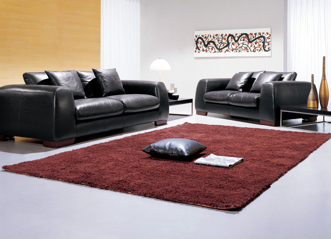 contemporary sofa   for home office hotel