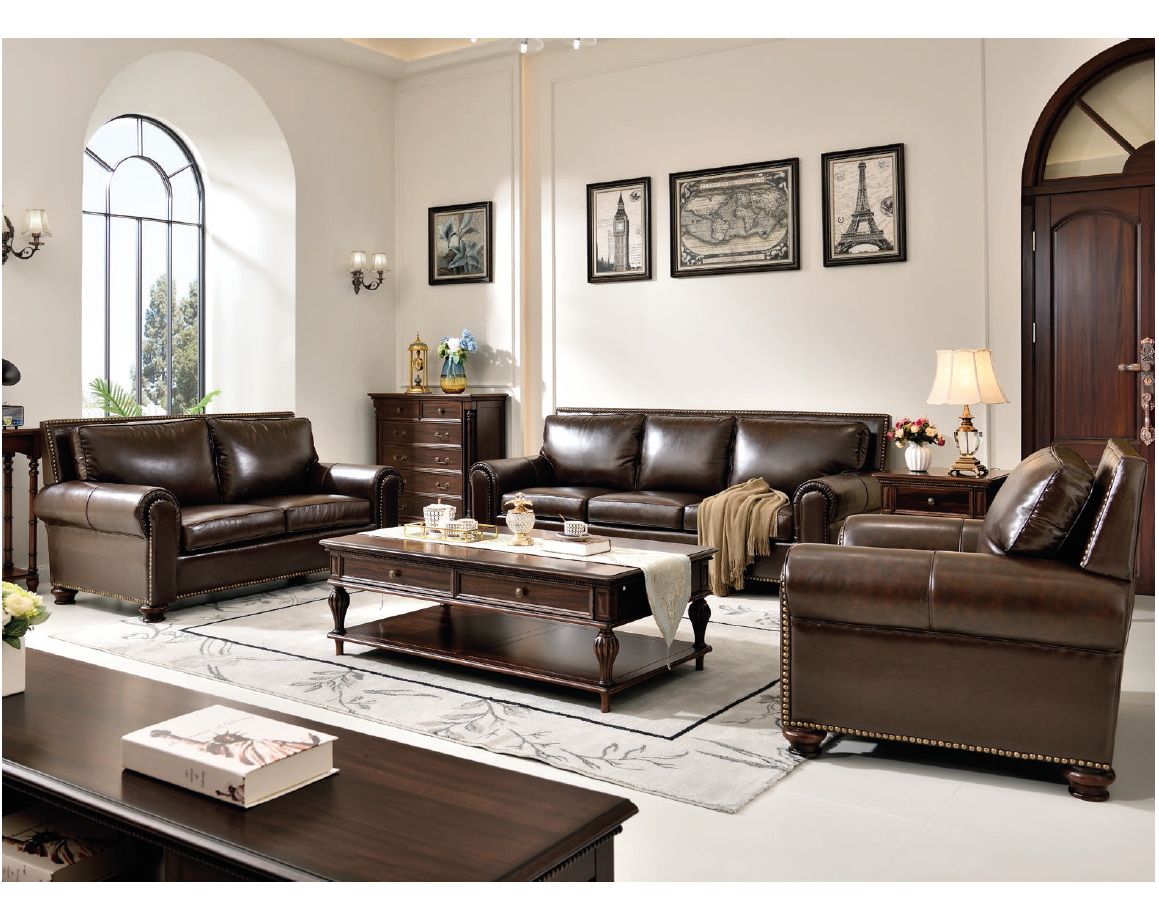american european  style  sofa