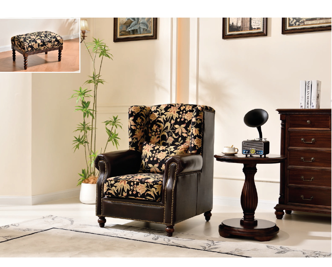 american european  style  leisure chair
