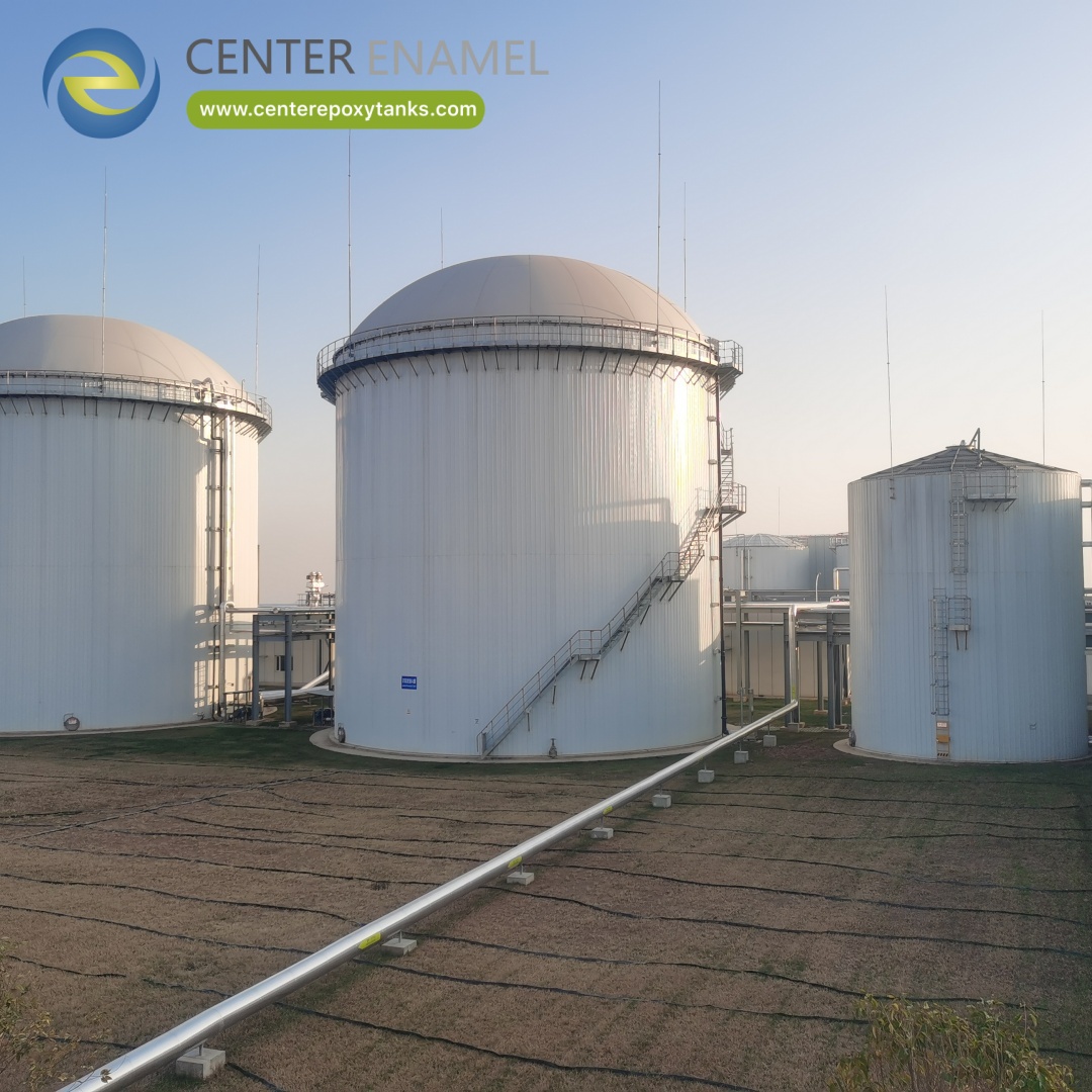 Double Membrane Gas Holder for Beverage Production Plant.jpg