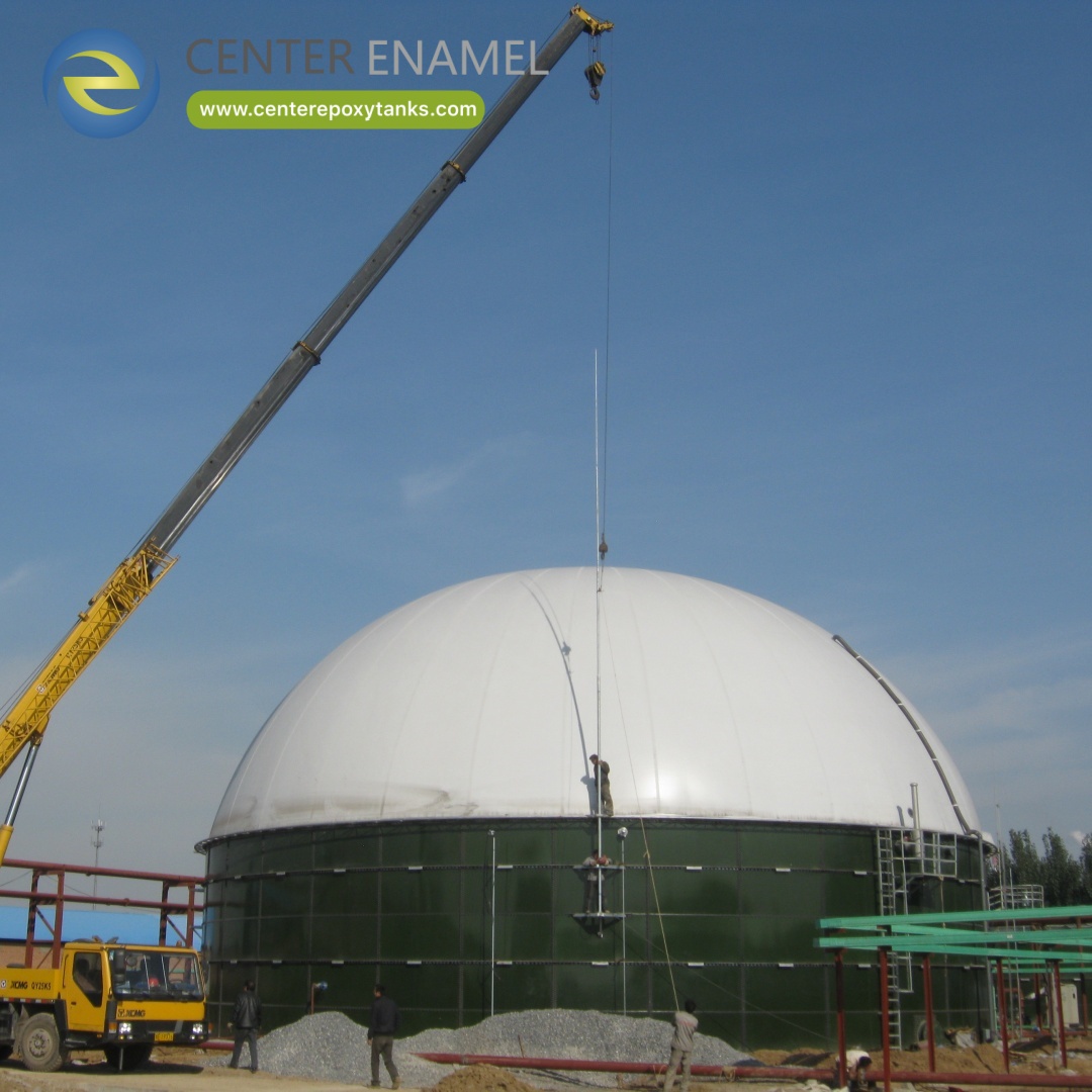 Double Membrane Gas Holder for Citrus Processing Plant.JPG