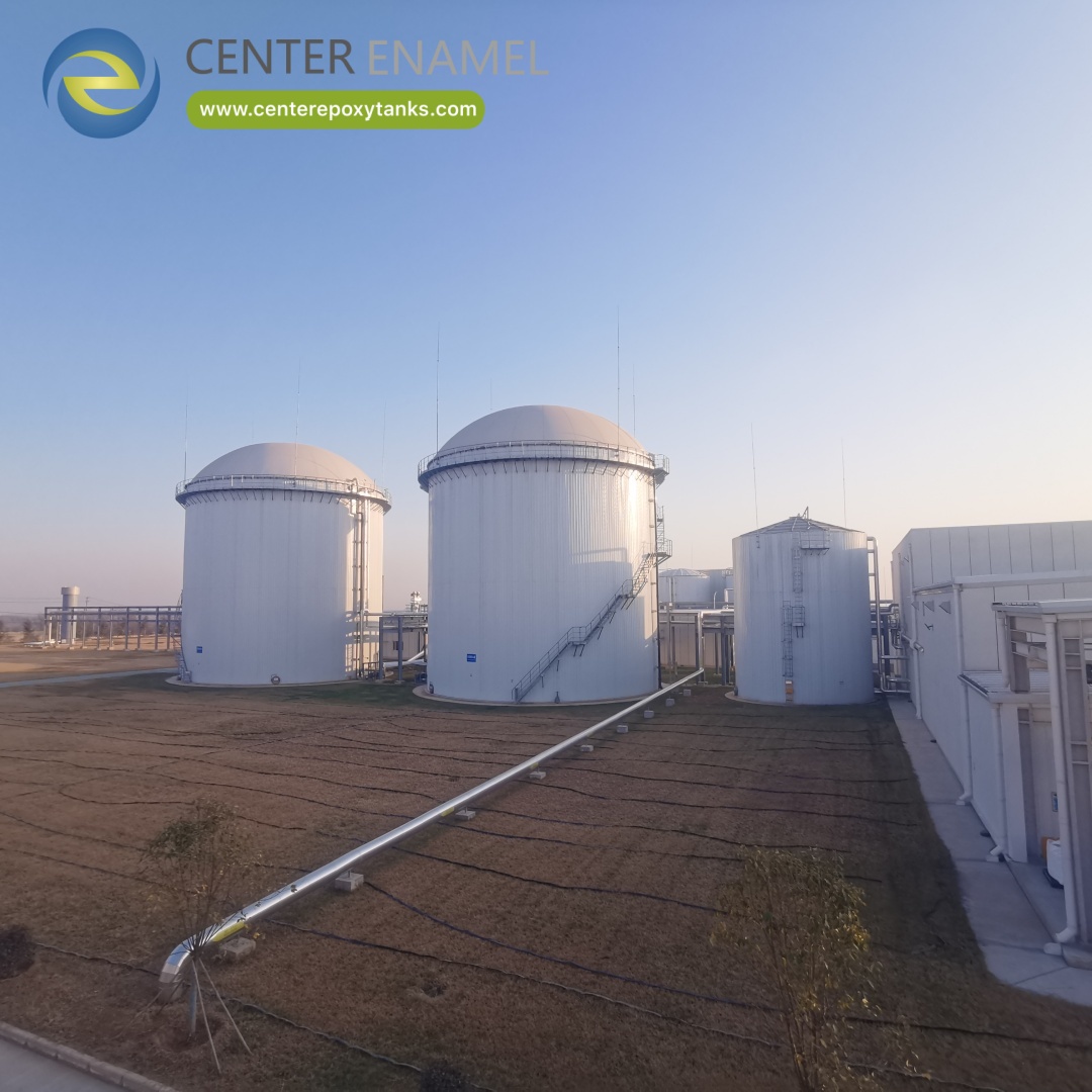 Double Membrane Gas Holder for Poultry Farm Plant.jpg
