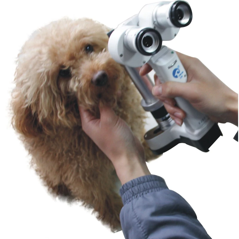 KJ5S1 Portable Slit Lamp Microscope