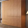 Hinged Wardrobe