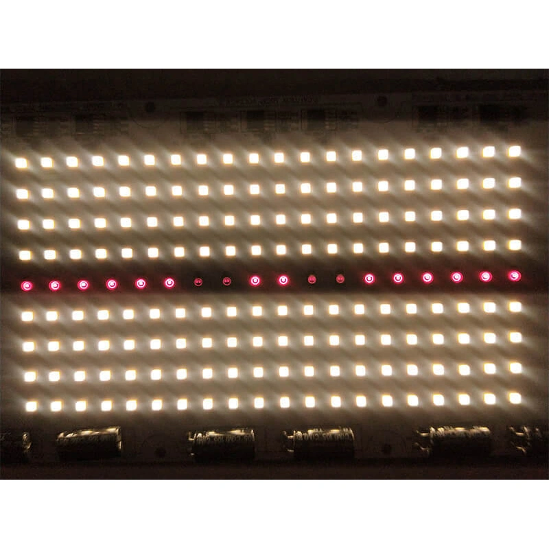 70W Non-flickering DOB AC LED Module For Horticulture Lights