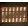 3000K 3500K 120W Quantum board for Grow light 256pcs LM301B and 36pcs Epistar 660nm LED PCB manufacturer