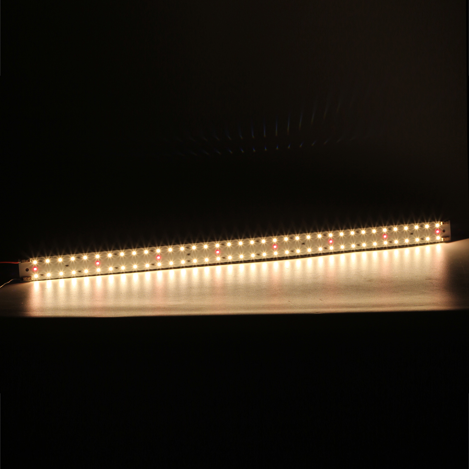 3mm Thickness DC 12V  LED Strip PCB Line ( No need for radiator) DC 12V 24V 100W Constant Voltage Grow Light DIY Parts