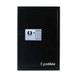 Cynthia Safe - Hotel safe box room safe hotel safe electronic lock safe