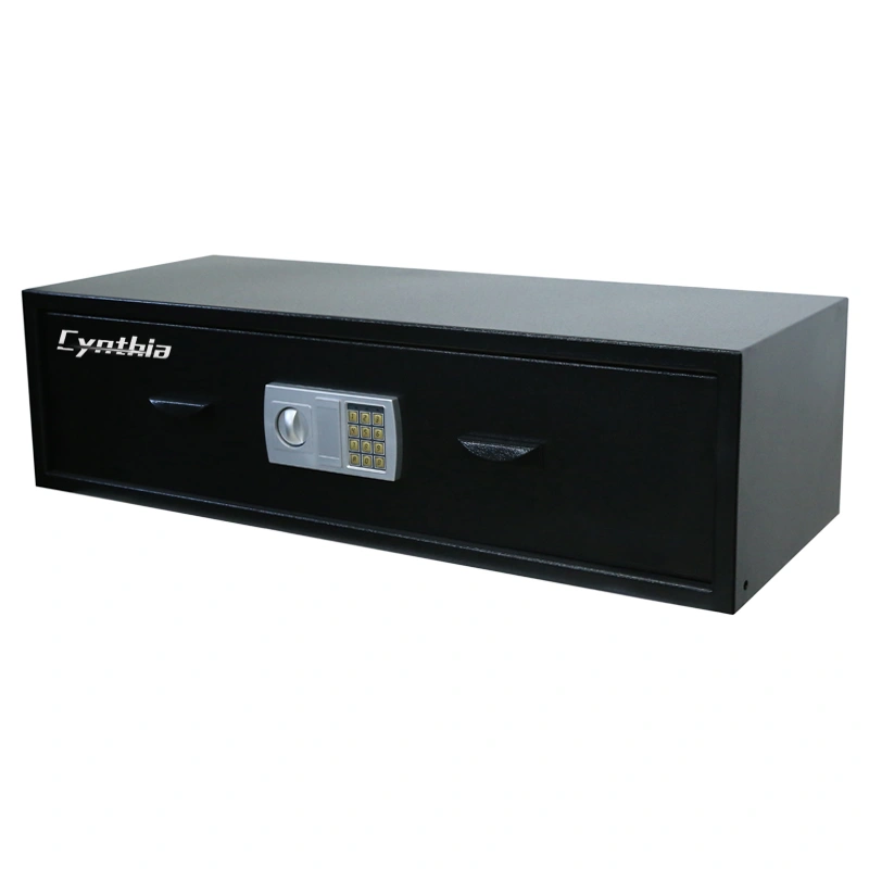 Big Drawer Safe for Putting Under Your Bed-Cynthia Safe