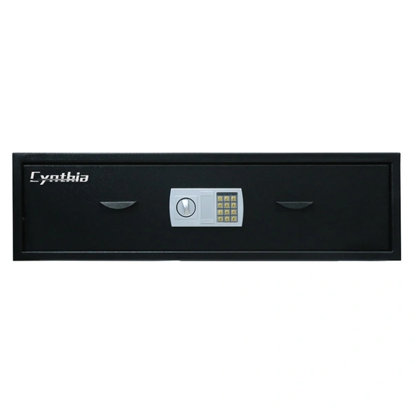 Big Drawer Safe for Putting Under Your Bed-Cynthia Safe