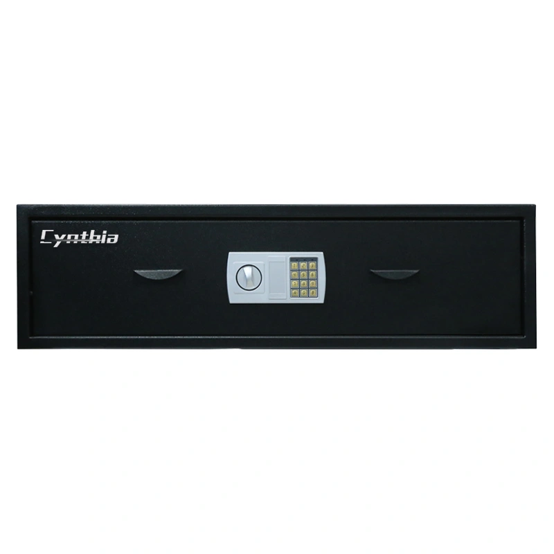 Big Drawer Safe for Putting Under Your Bed-Cynthia Safe