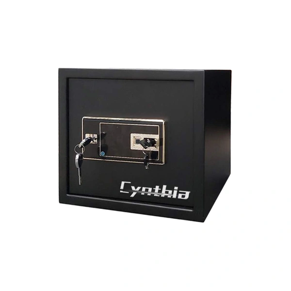 Drop safe with slot- Cynthia Safe