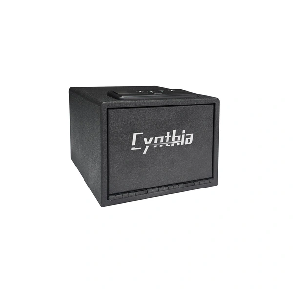 Biometric Safe - Cynthia Safe box,Quick Access Handgun Safe