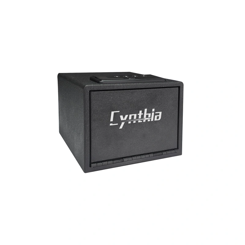 Biometric Safe - Cynthia Safe box,Quick Access Handgun Safe
