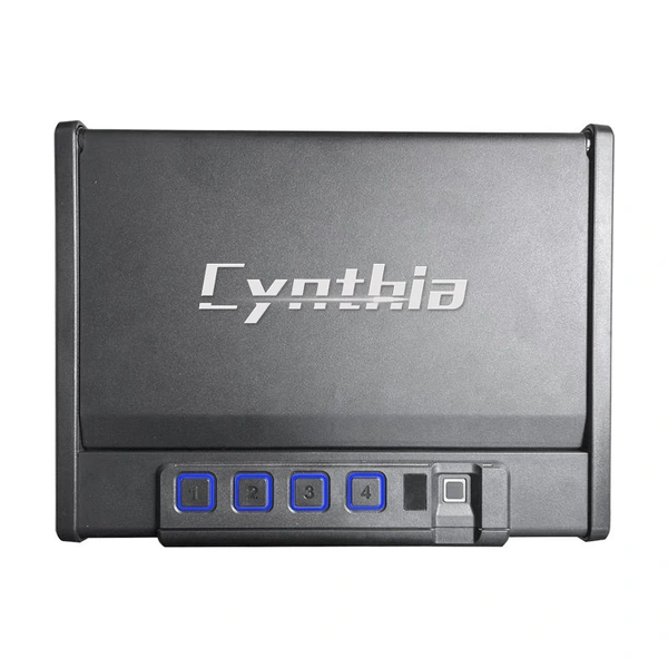 Handgun & Pistol Safes - Cynthia Safe box