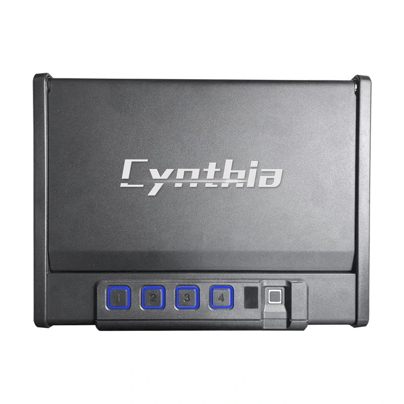 Handgun & Pistol Safes - Cynthia Safe box