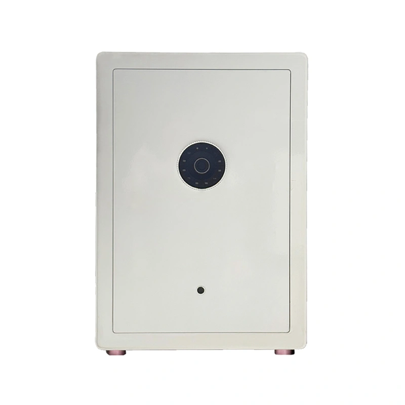 Cynthia Home Safety Box Home Safe Luxurious Jewelry Safe Deposit Box for Home Office Bank Hotel