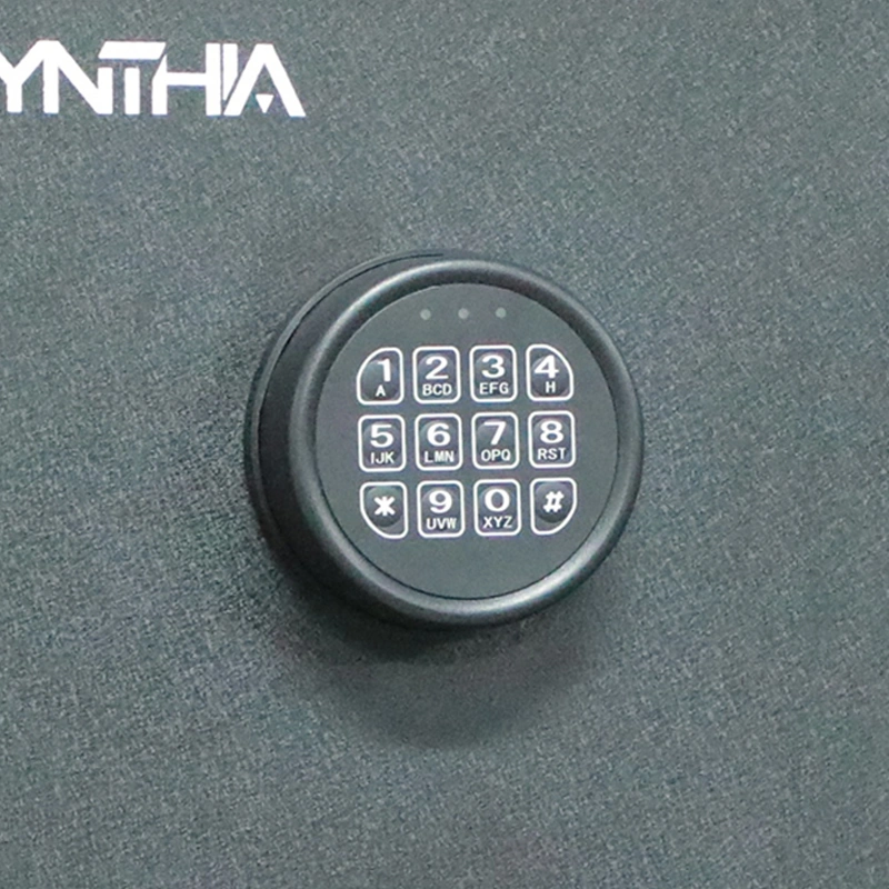 Fireproof Cabinet –Cynthia Safe