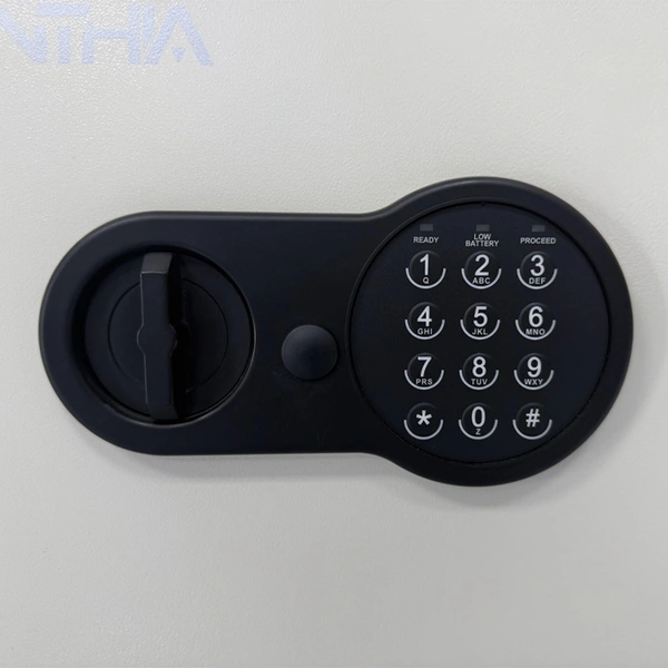 Fireproof Cabinet –Cynthia Safe