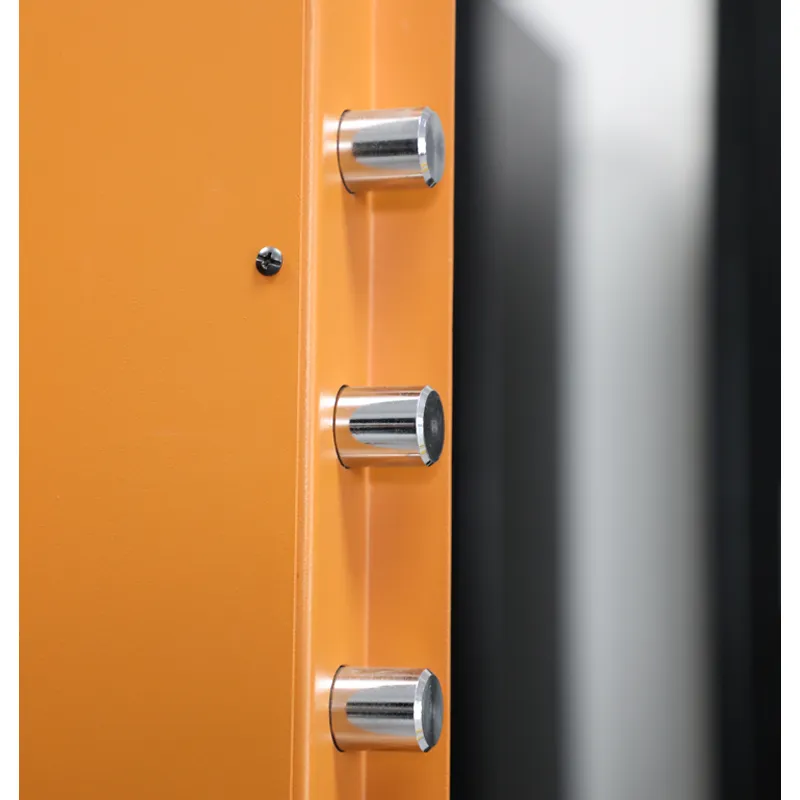 Gun Safe Heavy Duty - Cynthia Safe