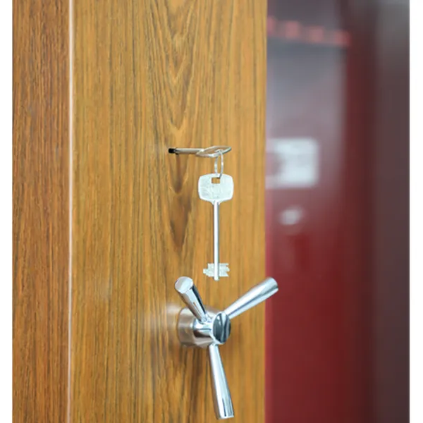 Gun Safe Heavy Duty - Cynthia Safe