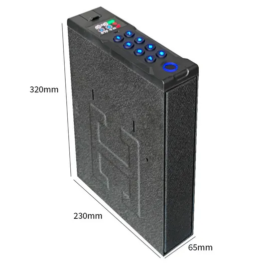 PISTOL BOX -T50