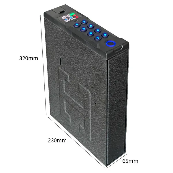 Pistol box -Cynthia Safe,Fingerprint Password Key for Home Office Security