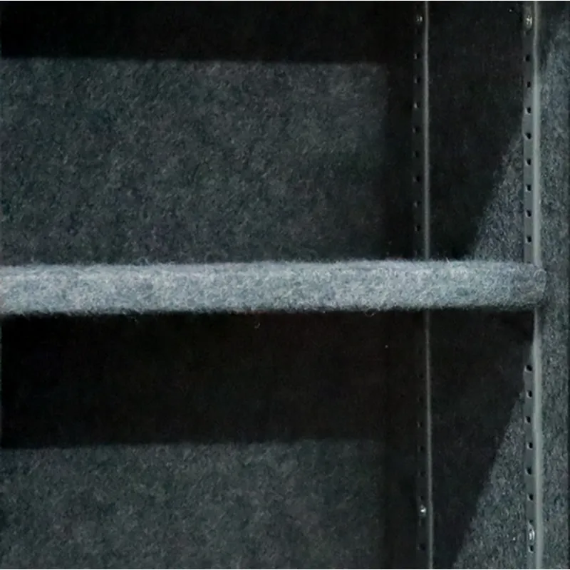 Gun Cabinet –Cynthia Safe